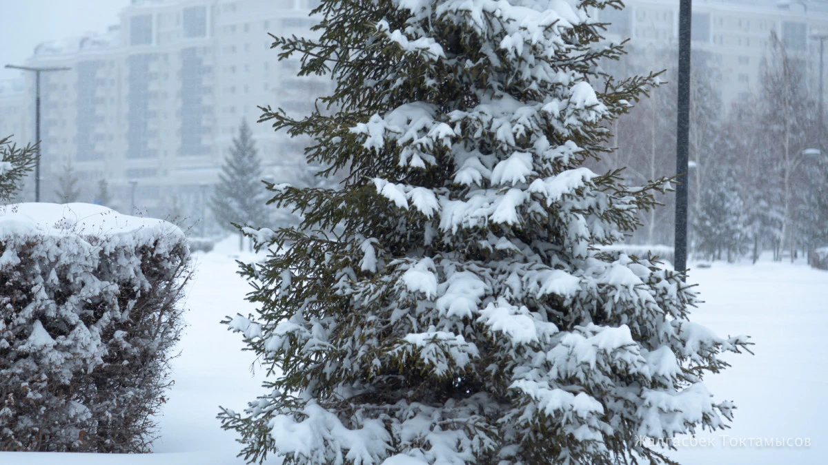 Будет ли зима суровой в этом году – что говорят синоптики?