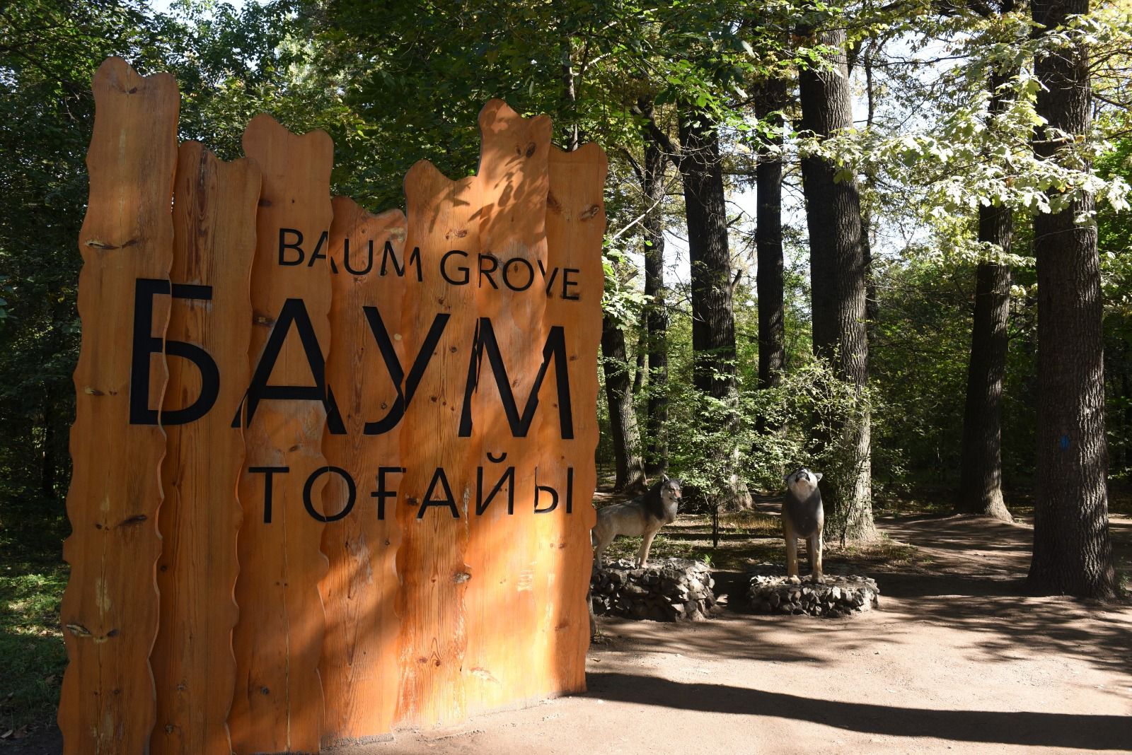 Акимат Алматы прокомментировал информацию о вырубке деревьев в роще Баум