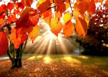 Сегодня в мегаполисах Казахстана будет тепло и без осадков.