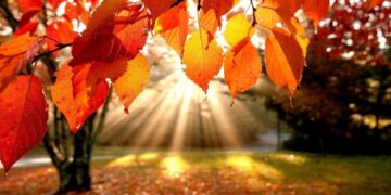 Сегодня в мегаполисах Казахстана будет тепло и без осадков.