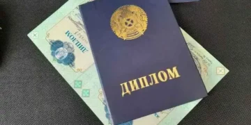 В каких странах признаются дипломы, выданные в Казахстане?