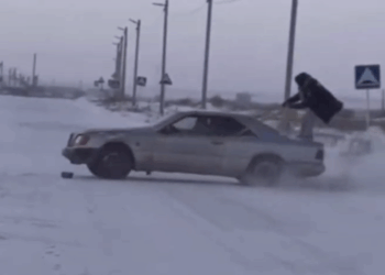 В Акмолинской области водитель, грубо нарушивший ПДД, привлечён к ответственности