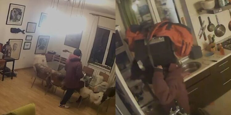 В Алматы задержан подозреваемый, пытавшийся унести украденный сейф