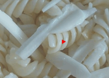 «Черви и муравьи». В Петропавловске комиссия проверяет школьные столовые