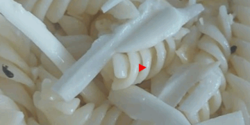 «Черви и муравьи». В Петропавловске комиссия проверяет школьные столовые