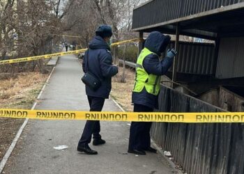 В Туркестанской области обнаружено тело новорождённого ребёнка в мусорном контейнере