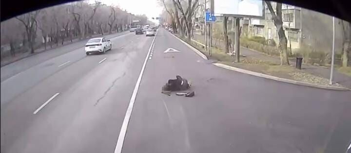 Отвлёкся на телефон: в Алматы водитель автобуса сбил девушку на пешеходном переходе