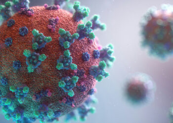 В Казахстане не зафиксировано случаев заражения вирусом Нипах