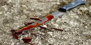 В Атырау мужчина отрезал ухо молодому человеку после конфликта с сыном