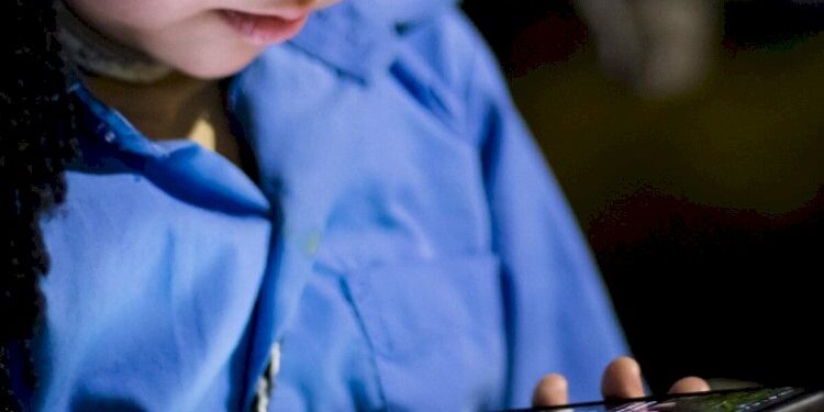 «Из игры может вспыхнуть пожар»: депутат забила тревогу из-за опасности платформы Roblox