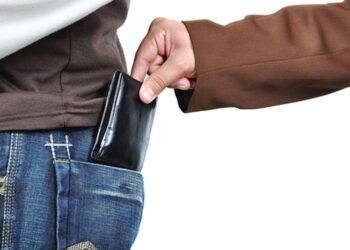 Карманник опередил мошенников, украв у жительницы из России миллионы