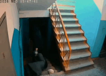 «Вцепился как клещ»: В Павлодаре пенсионерка отбилась от грабителя