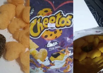 В Астане в упаковке «Cheetos» нашли мышь