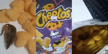 В Астане в упаковке «Cheetos» нашли мышь