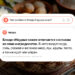 Почему в Наурыз сажают деревья: что спрашивают про этот праздник казахстанские пользователи у Яндекс Поиска с Нейро