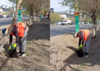 В Кызылорде 19-летнюю девушку приговорили к общественным работам за продажу вейпов через TikTok