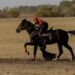 В Шуйском районе впервые прошёл республиканский турнир по кокпару